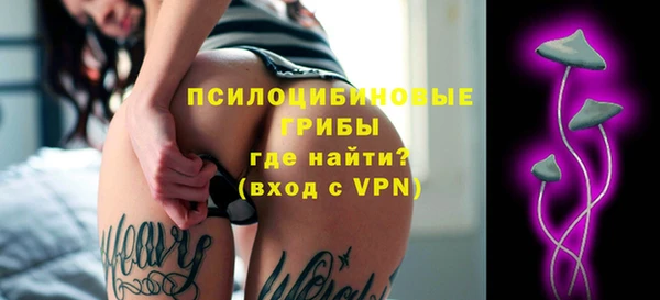 ECSTASY Кодинск