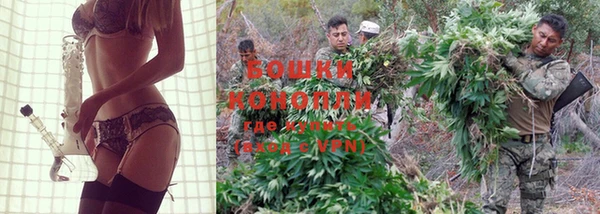 PSILOCYBIN Киренск