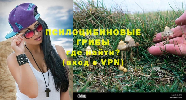 PSILOCYBIN Киренск