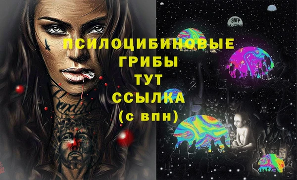 PSILOCYBIN Киренск
