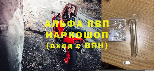 PSILOCYBIN Киренск
