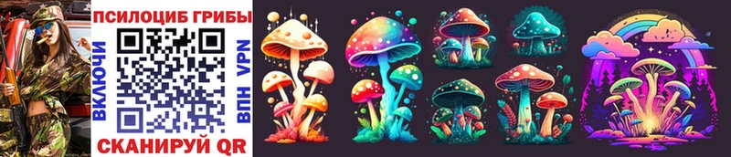 Псилоцибиновые грибы Magic Shrooms  Купить  Теберда 